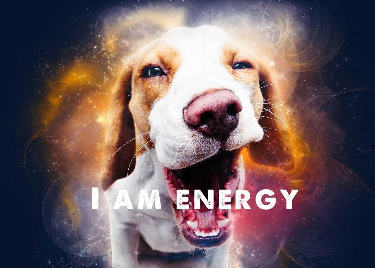 I am energy